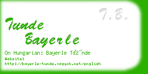 tunde bayerle business card